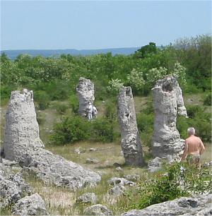 Pobiti Kamani - Steinwald