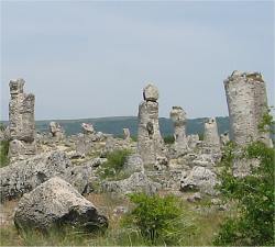 Pobiti Kamani - Steinwald