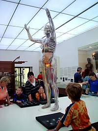 Gl&auml;serner Mensch