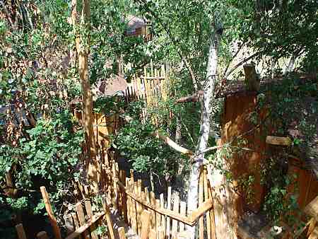 Wege innerhalb des Baumhauskomplexes