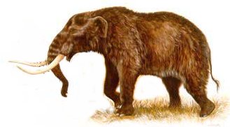 Mastodon