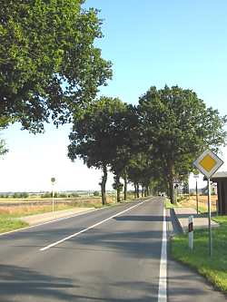typische kandstra&szlig;e in Mecklenburg-Vorpommern