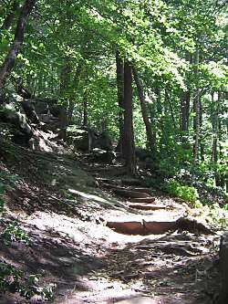 Aufstieg auf den Lilienstein