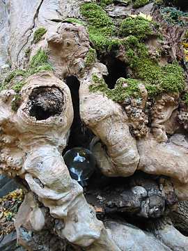 Burgberg in Bad Harzburg