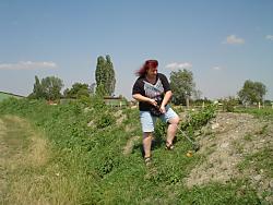 Ball au&szlig;erhalb des spielbaren Gel&auml;ndes gefunden. Ball muss auf Spielfl&auml;che gelegt werden.